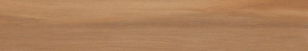 Leccio Oliato Ret 20x120 Serenissima Cir