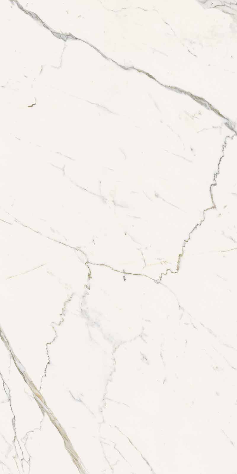 292A Calacatta Statuarietto Nat RT 60x120 Keope