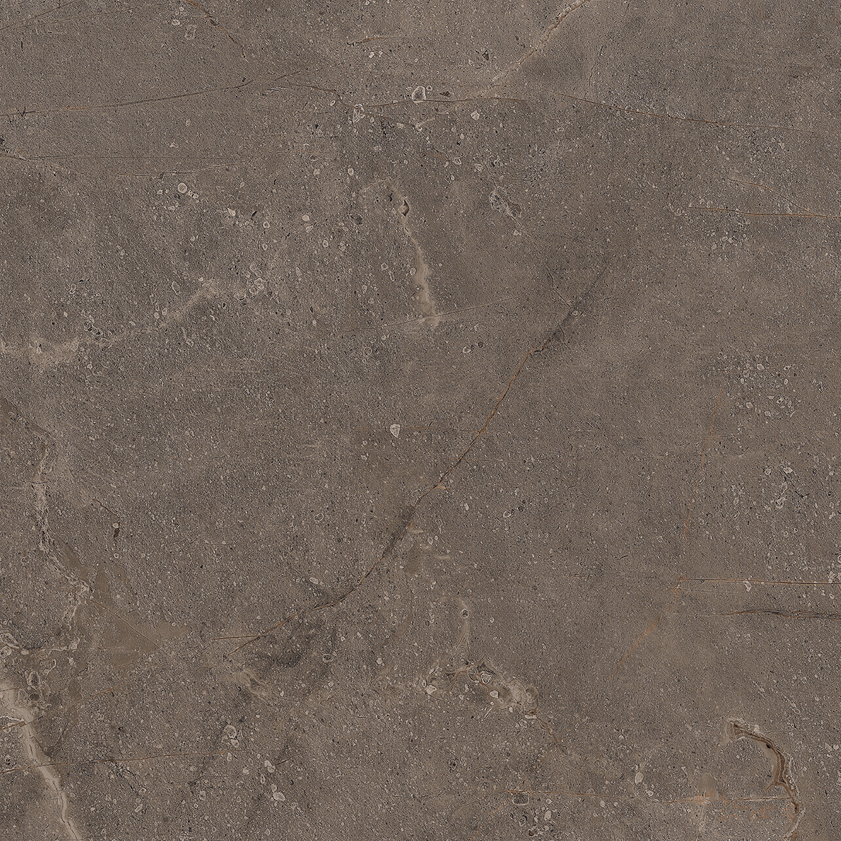 Mia Dark Sugar Carving 60x60 Realistik фото 14