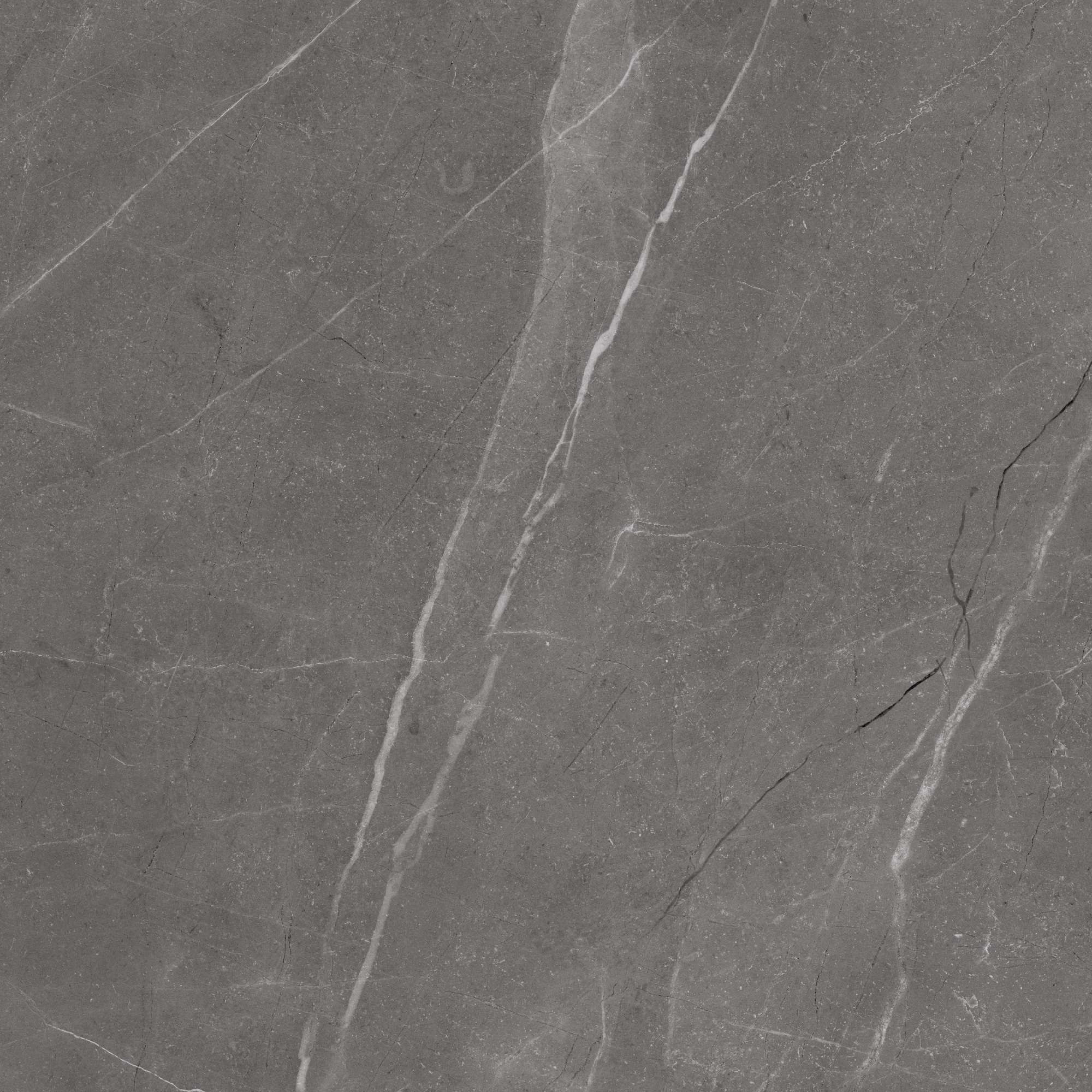 Vibrant Grey Carving 60x60 BELLEZA фото 2