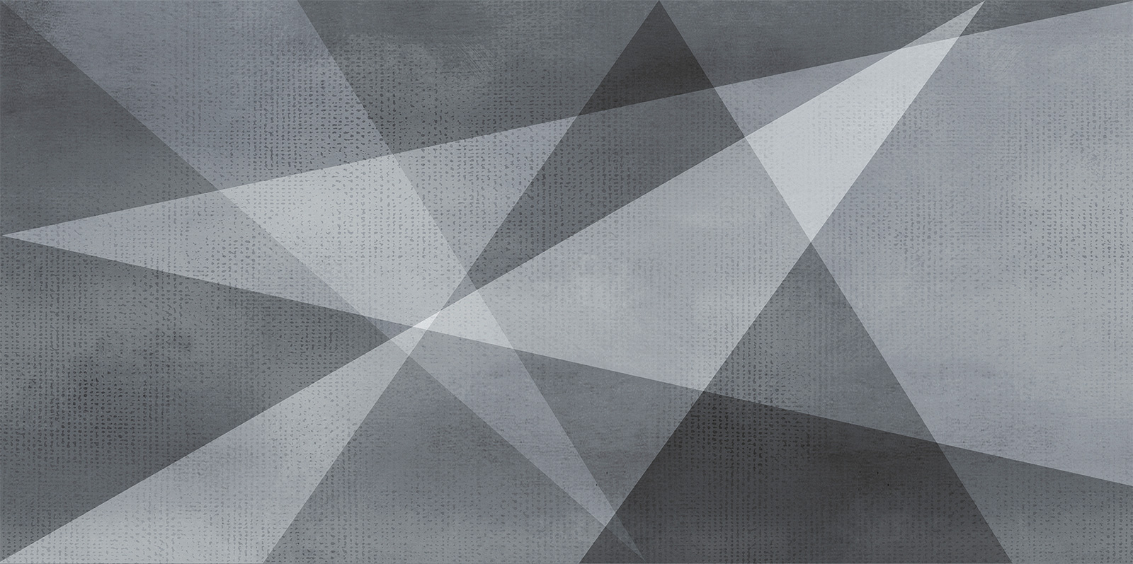 WT9SHG17 Shape Geometric 24.9х50 AltaCera