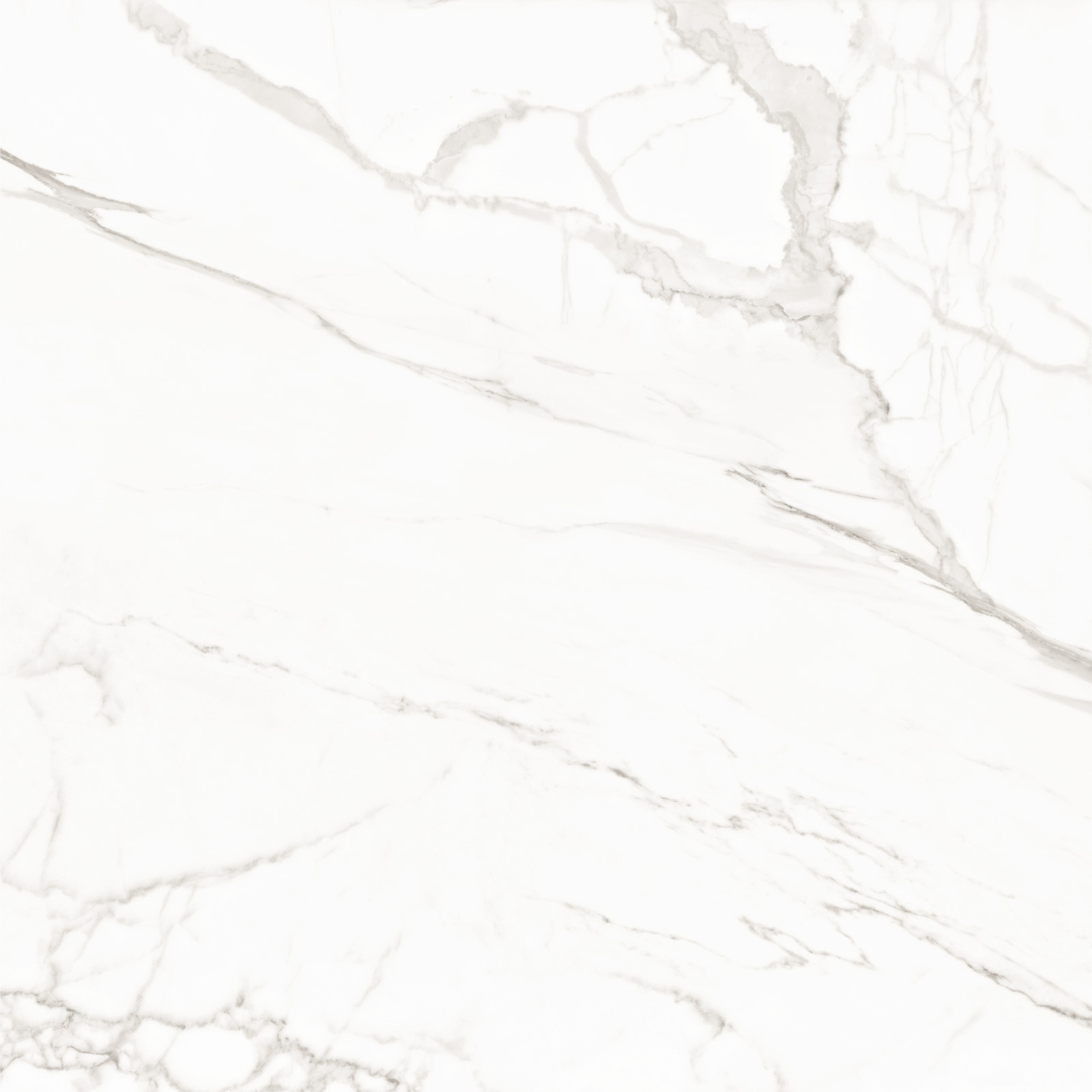 8080TRL00M Trend Line Calacatta матовый 800x800 LCM фото 9