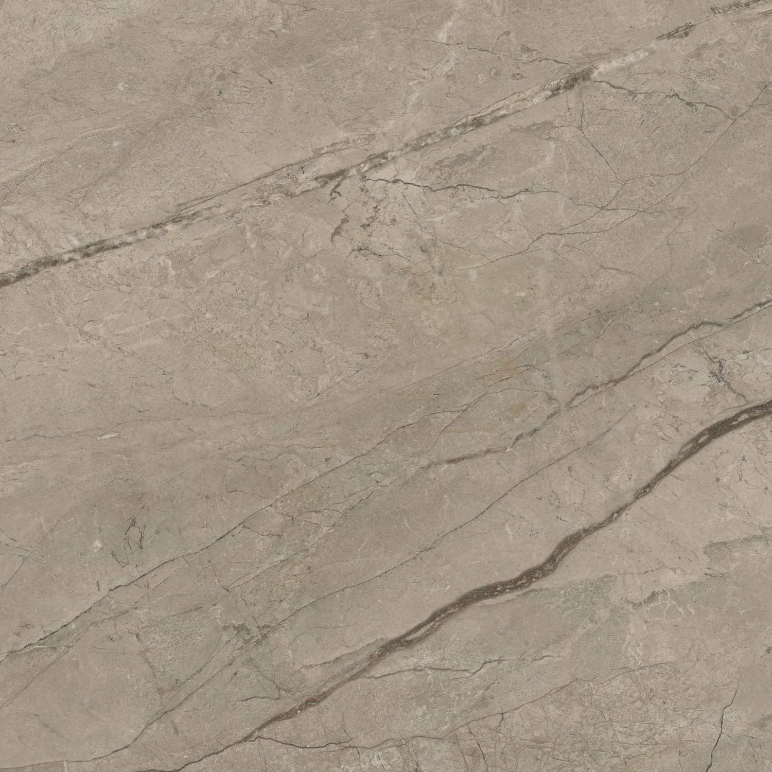 610015000650 Forte dei Marmi Mystic Grey 80x80 Atlas Concorde Russia