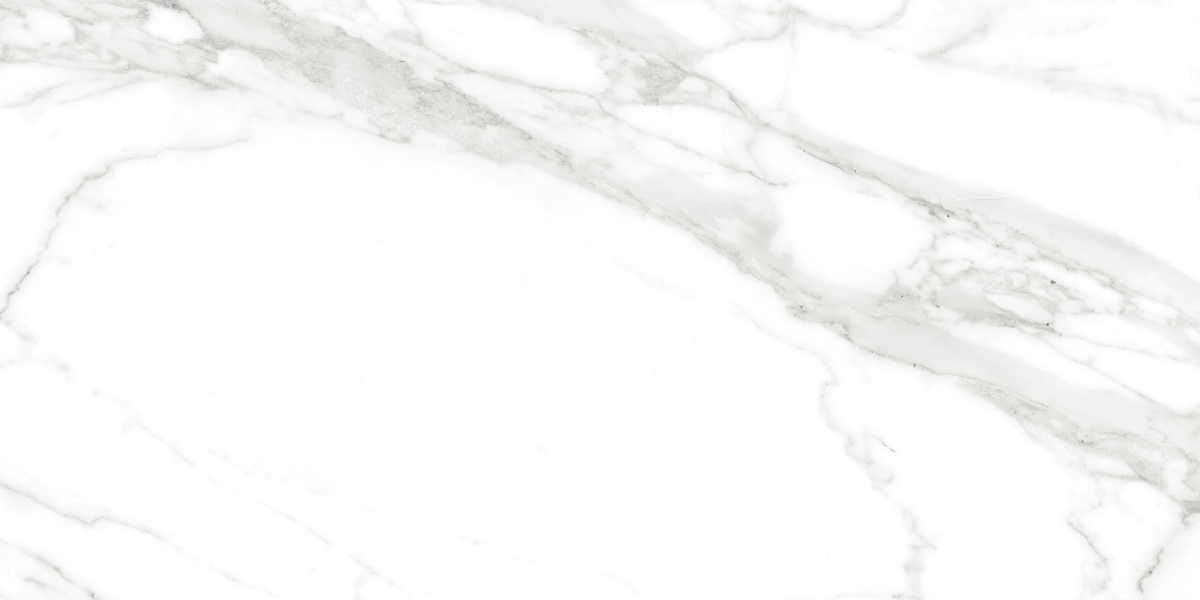 Calacatta Bianco PRO белый матовый R10GR CB 60х120 Laparet