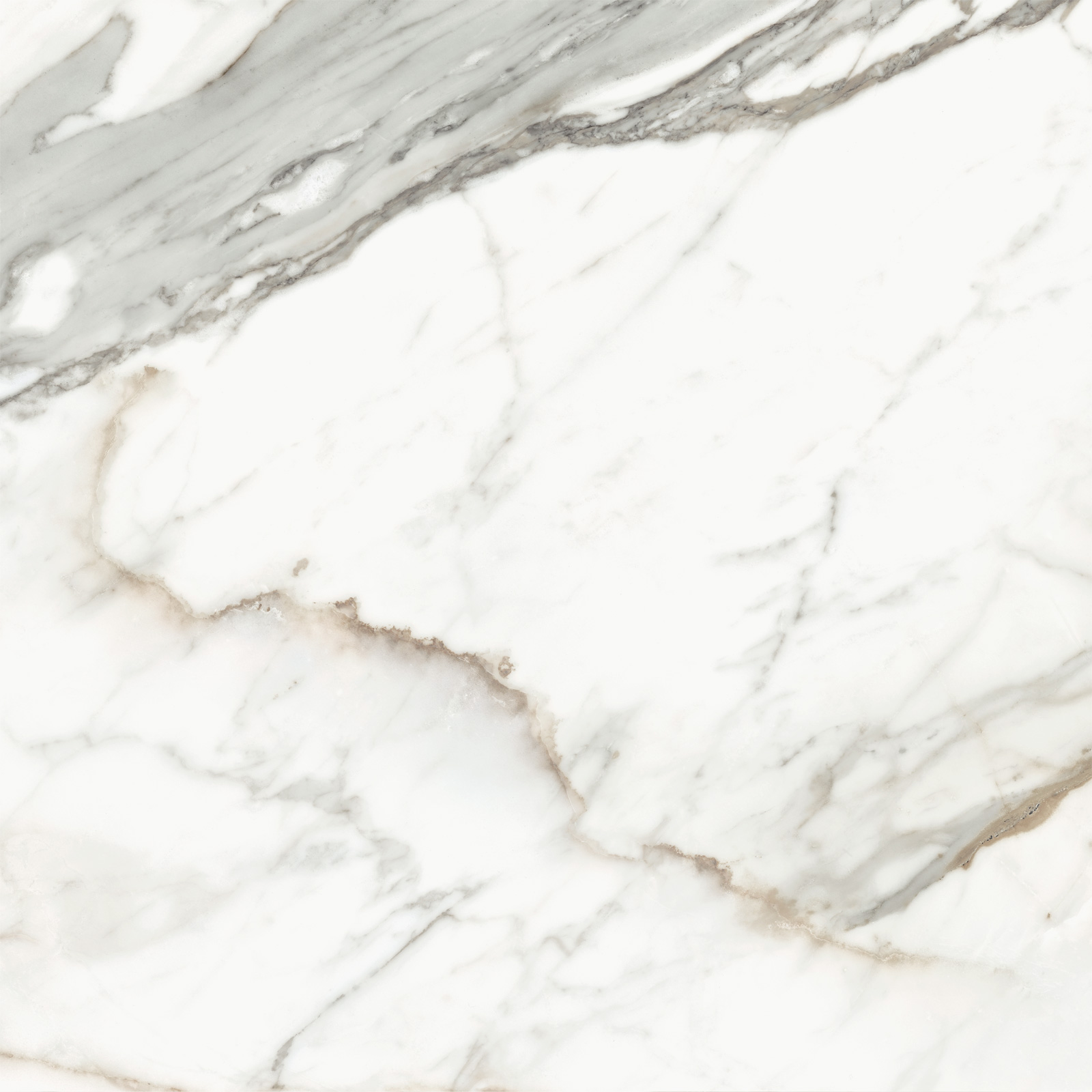 D60209M Calacatta Premium карвинг 600x600x9.5 Delacora