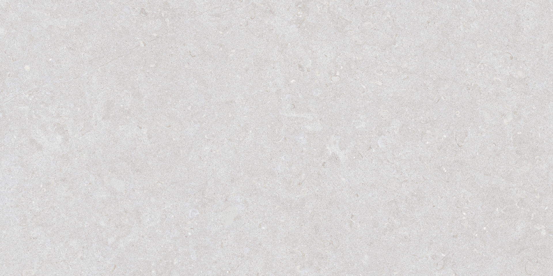 35569 Ghent Silver/50X100X2/A/R 50x100 Peronda фото 4