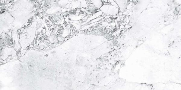 Forest White Semi Polished 59.7x119.8 Goldis Tile