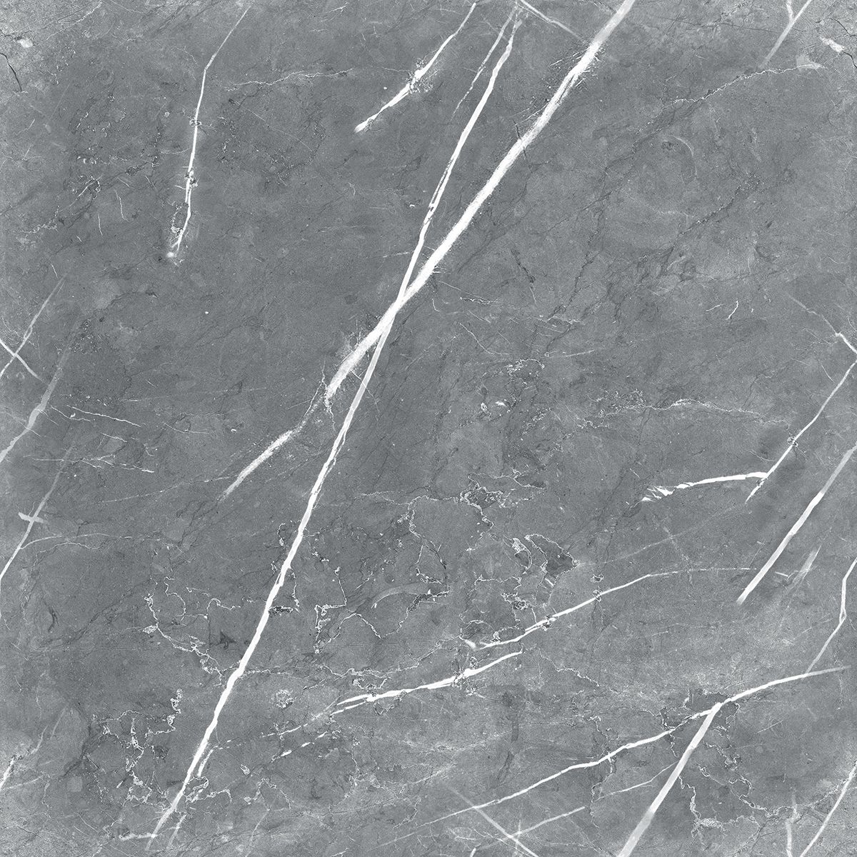 R_PR1019 Carnico Grey Polished 60x60 Royce