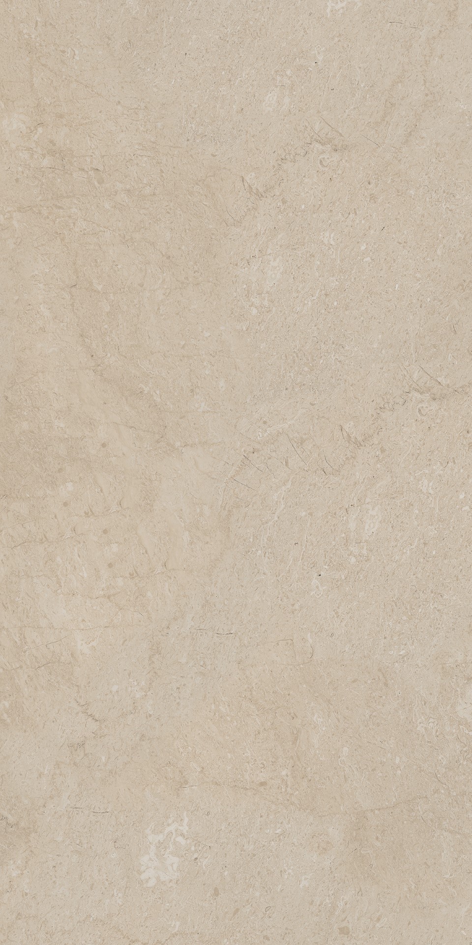 AEM01 Элемента Бежевый Неполированный Рект 60x120x9 Ametis by Estima фото 5