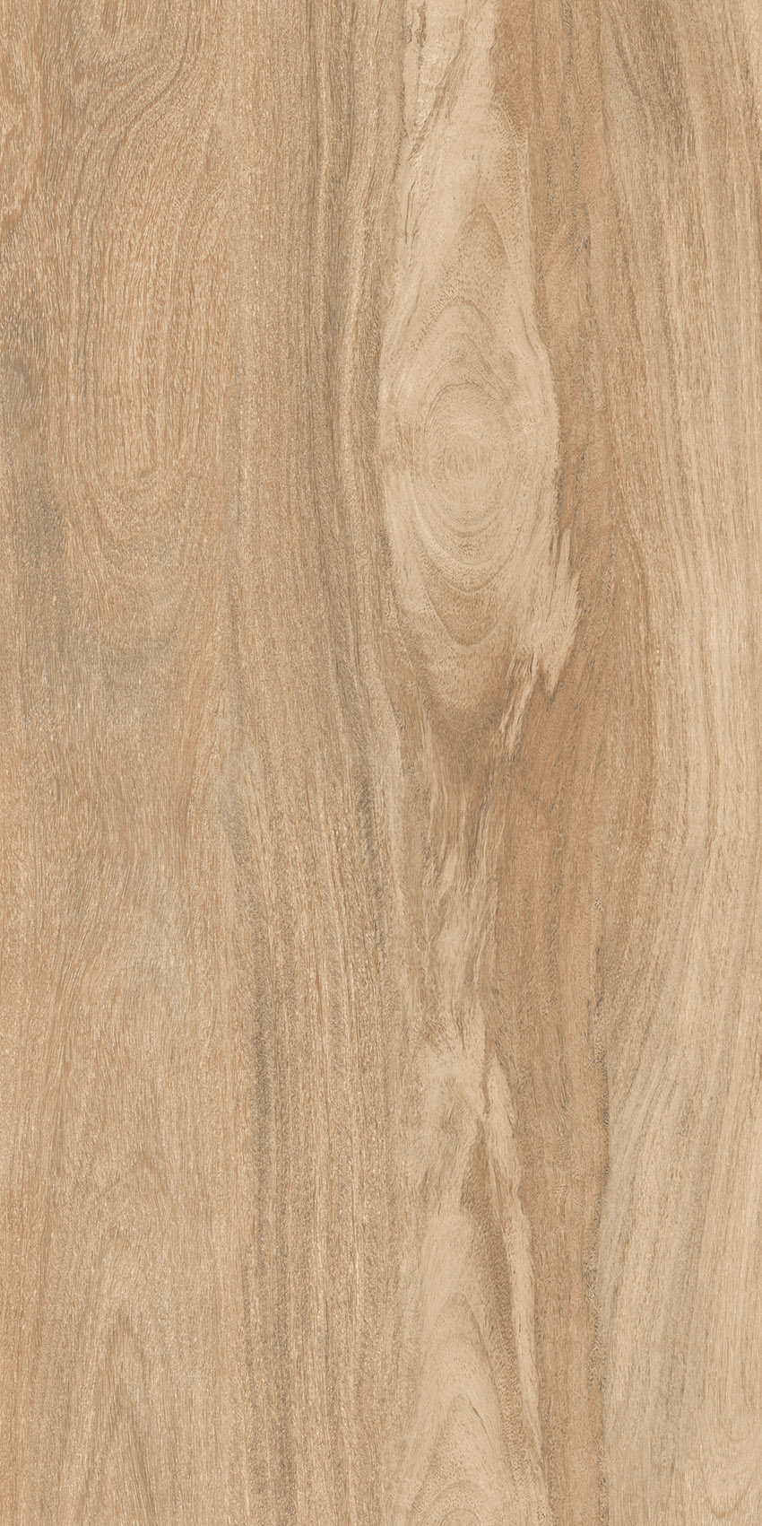 Taiga Dark Matt Carving 60х120 Gresant