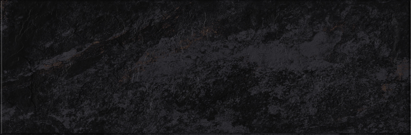 618 Image Dark 32,5х100 Eurotile Ceramica
