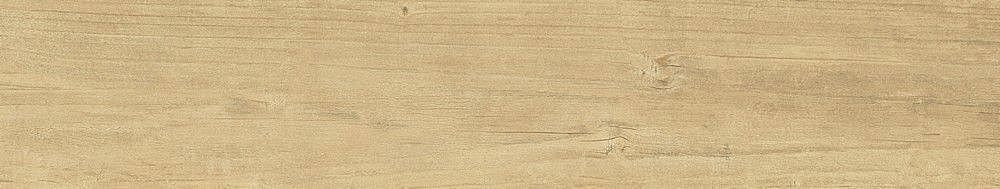 189004 Quercus Naturale 22x120 Dune
