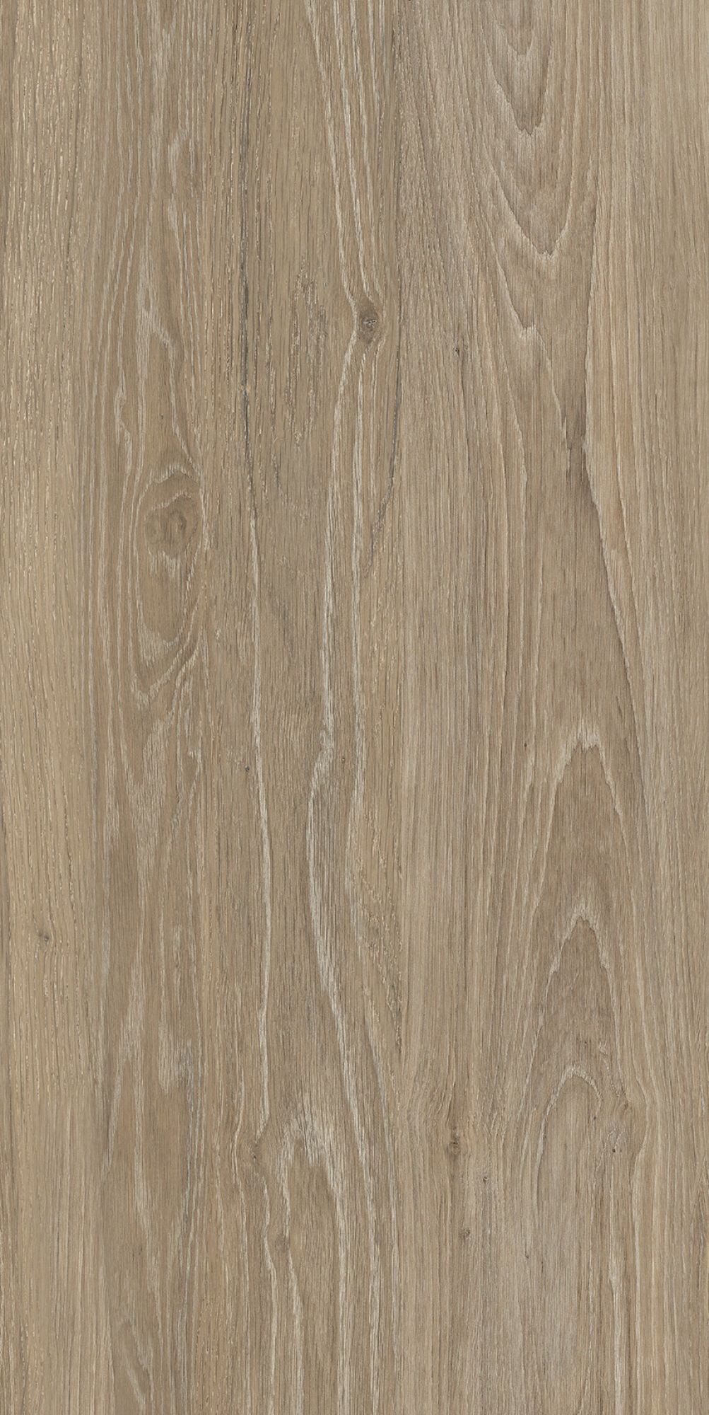 40683 Verbier Honey 4D/50X100X2/A/R 50x100 Peronda фото 16