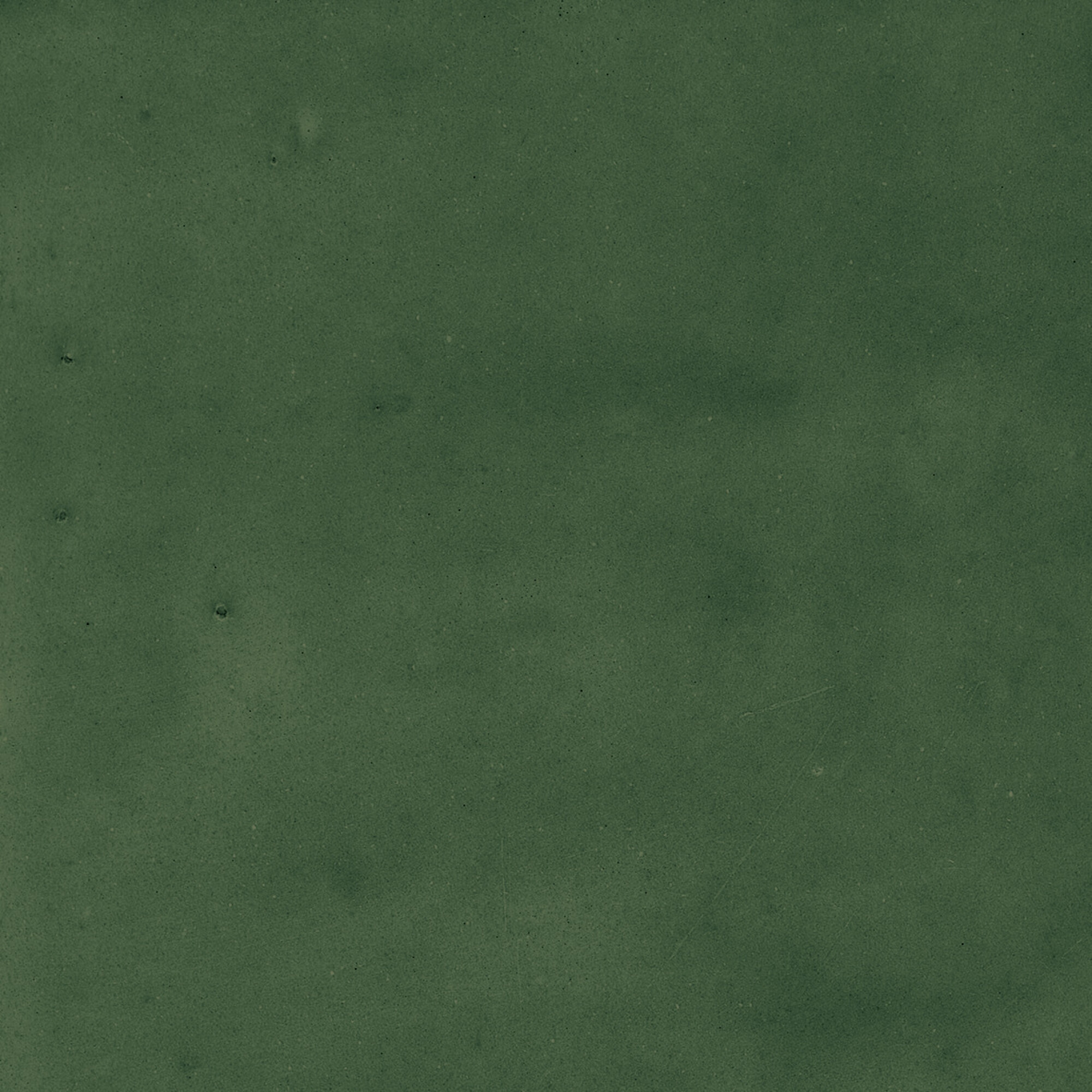 43289 Samira Green 10x10 Harmony фото 24