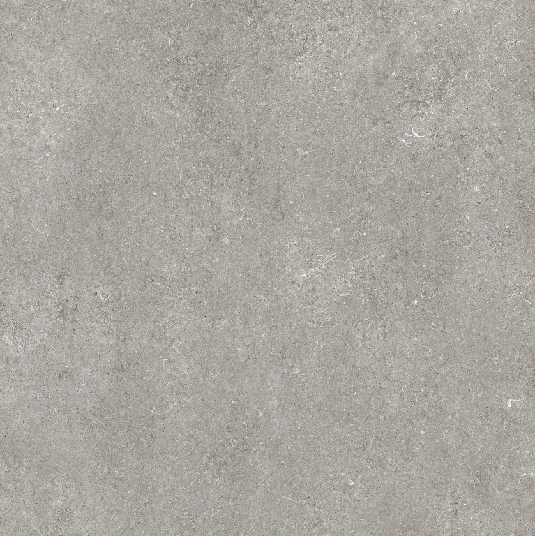768556 Sensi Grey Fossil Nat Ret 6mm 120x120 Casa Dolce Casa