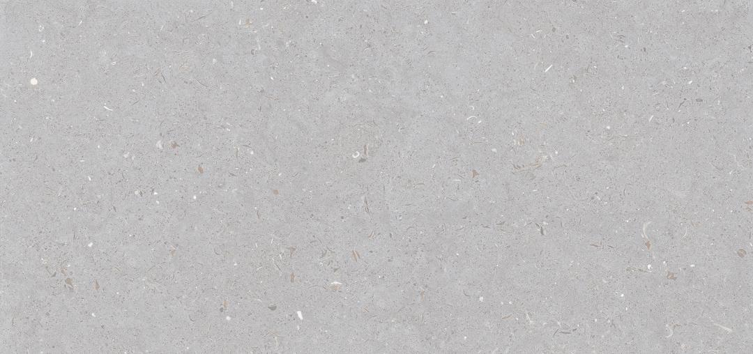 Stx Fossil Dove 59,8х119,8 Simpolo Ceramics