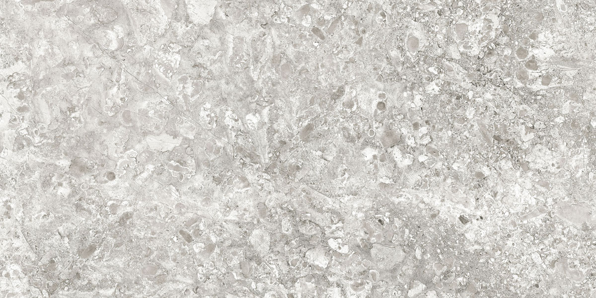 Lunar Grey Light/Лунар Светло-серый MR 120x60 Idalgo (Идальго)