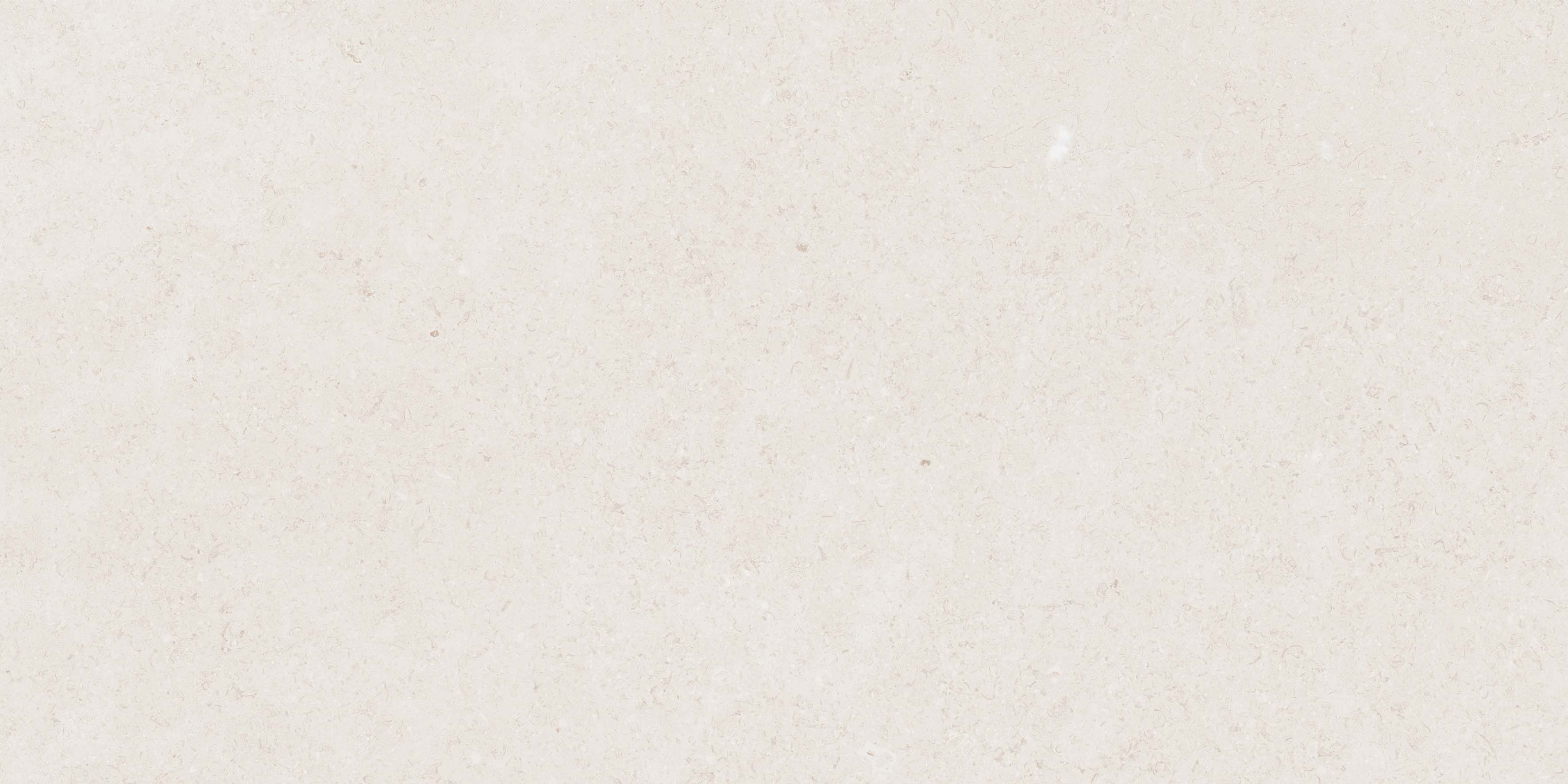Mistic Light Grey Gloss 60x120 Realistik