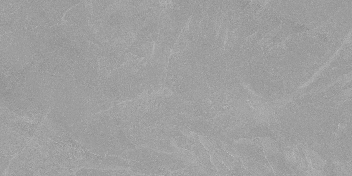 Archie Grey Pro серый матовый R10GR STR 60х120 Laparet