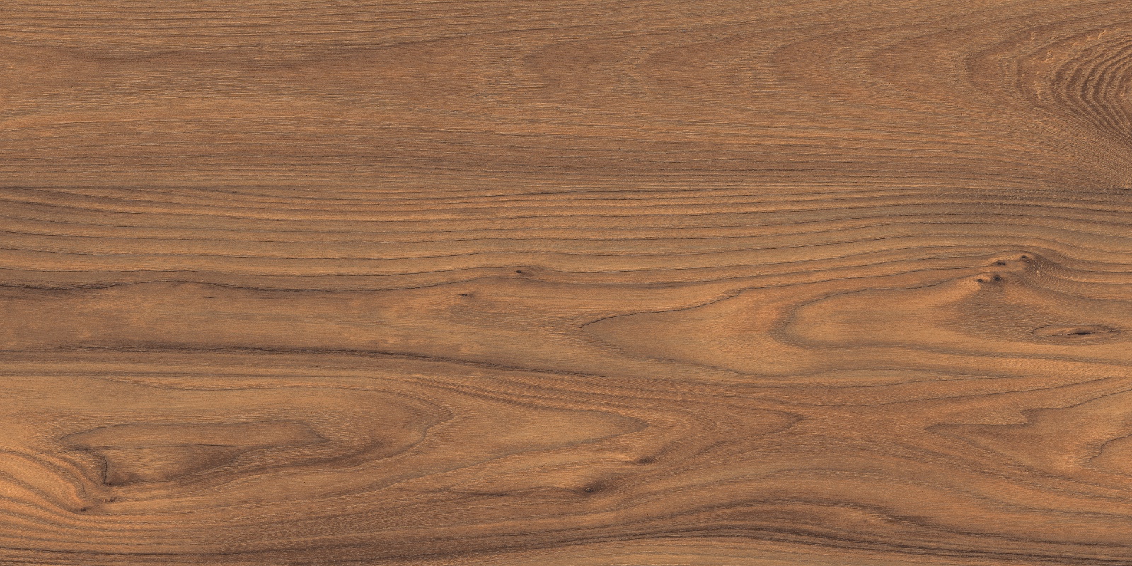 LM 1001 Laminate 60x120 Realistik