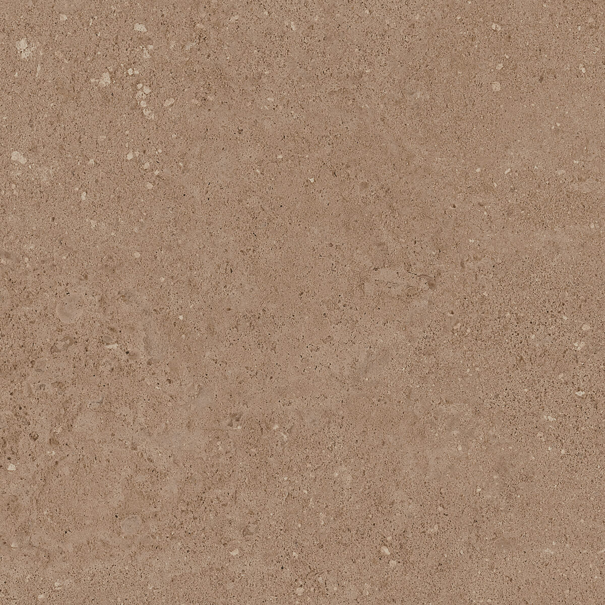 NP03 Newport неполированный 40.5x40.5x0.8 Estima