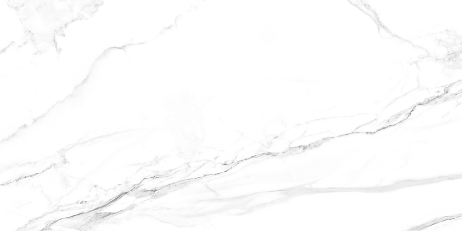 NR208 Milos White 60x120 PrimaVera