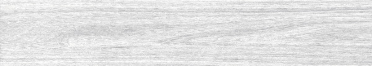ENWD1024MT20120 Foresta Bianco Matt 120x20x0.9 Ennface