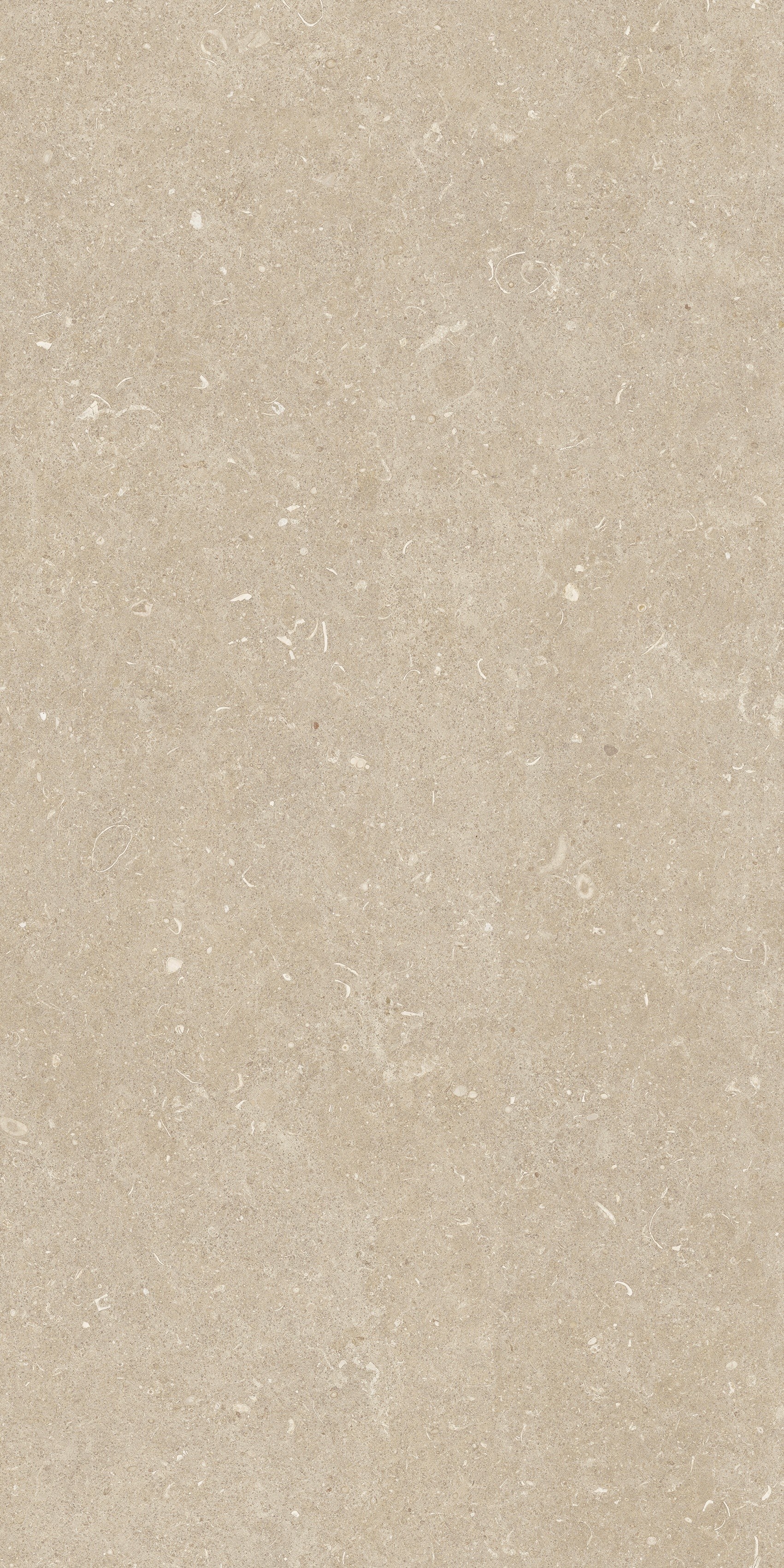 785509 Rinascenza Arena Conchiglia Grip 20mm 60x120 Casa Dolce Casa