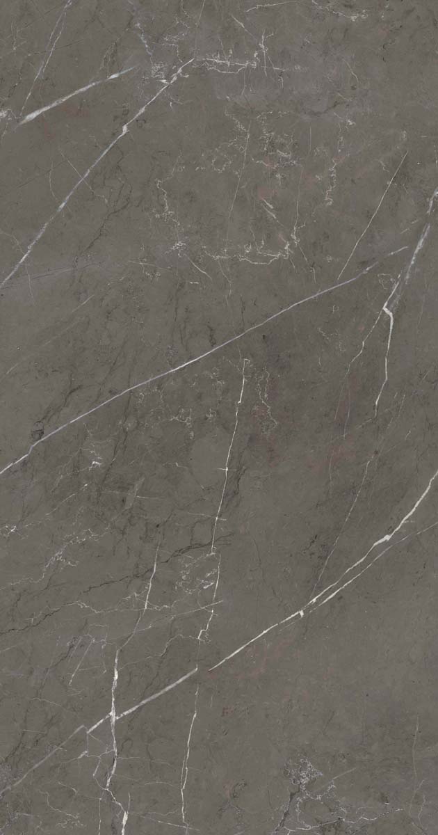PF60006313 Stone Grey Lux R 60x120 ABK фото 5