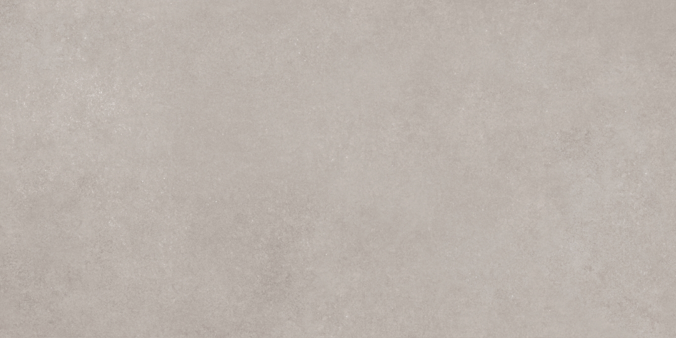 17534 Still серый ректификат 60x120 Meissen