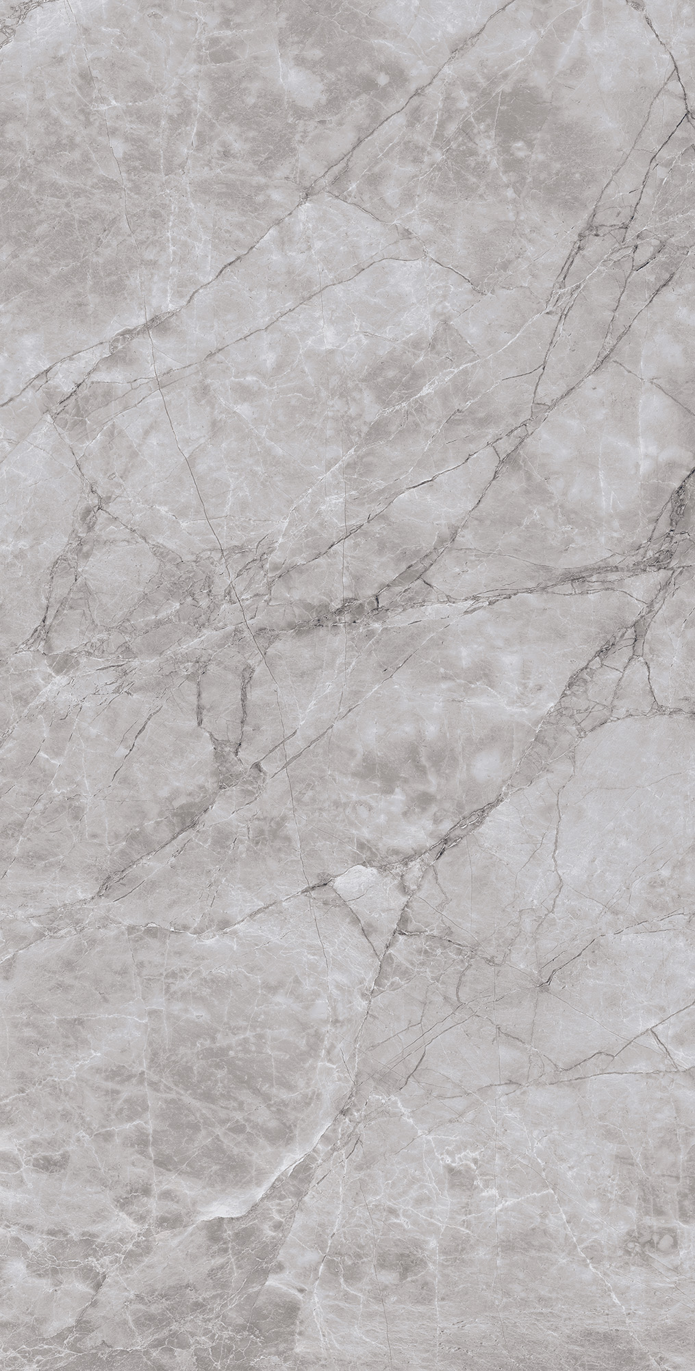 CL4005-A Arctic Grey Carving Lappato 60x120 Arcadia Ceramica
