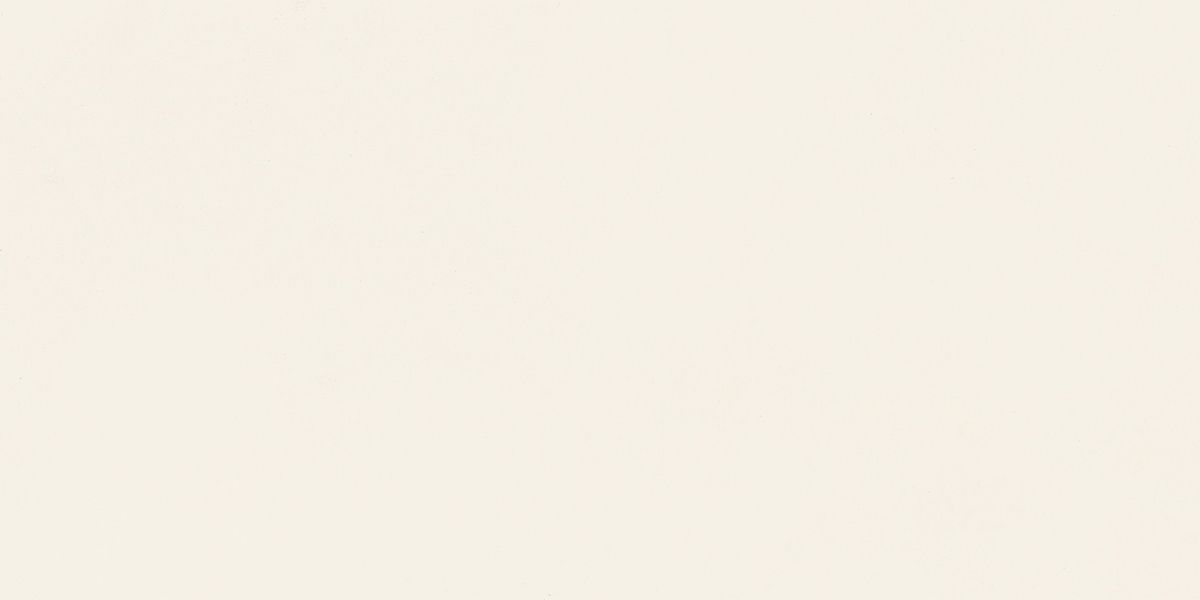 N12041 Blossom Pure Matt 60x120 Neodom