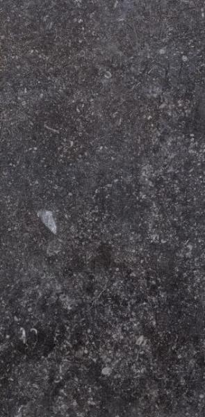 1076236 Ardenne Nero 20х40 CIR