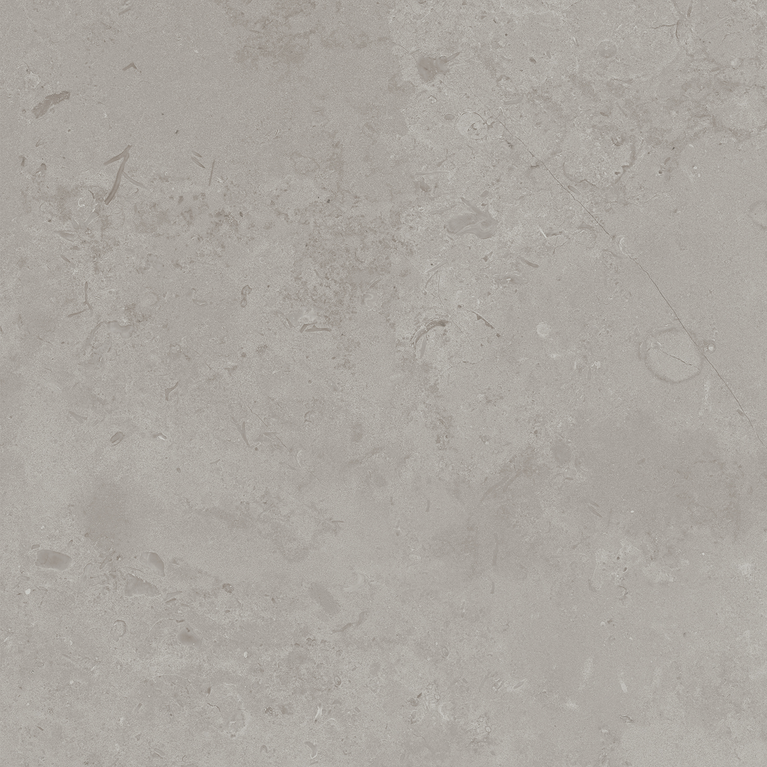 DD640900R Про Лаймстоун серый натуральный обрезной R10 60х60 Kerama Marazzi