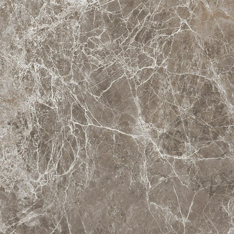 NR0386-M Тасос Коричневый матовый 600x600x9.5 ProGRES Ceramica фото 2