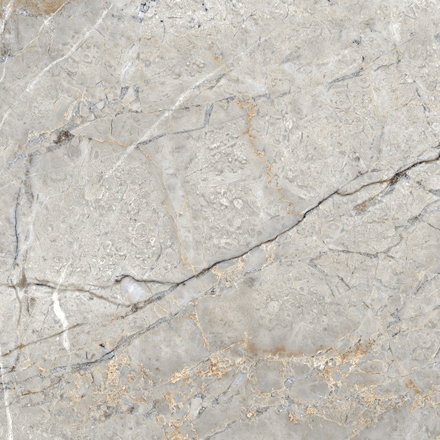 Fantastico Grey Granito Полированный 60х60 Laparet