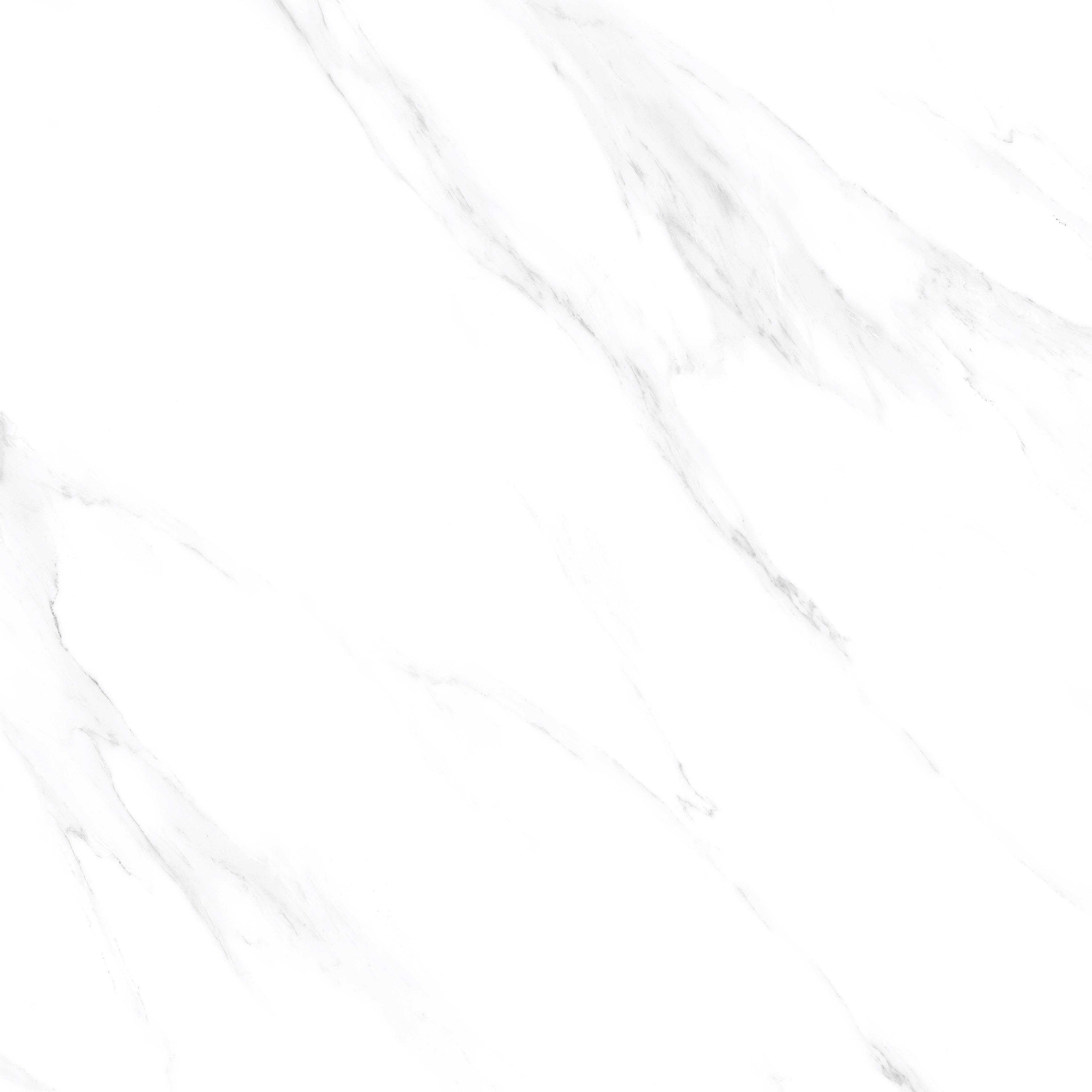 Statuario Venezia Glossy 60x60 Modern Tile