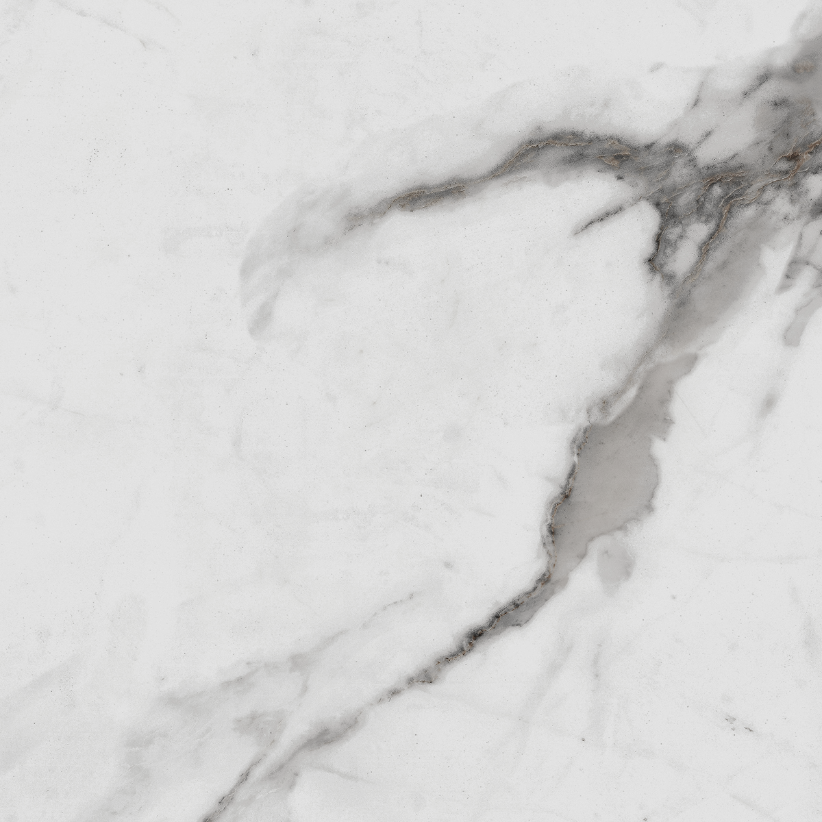 R_PR1005 Carrara Betria Polished 60x60 Royce