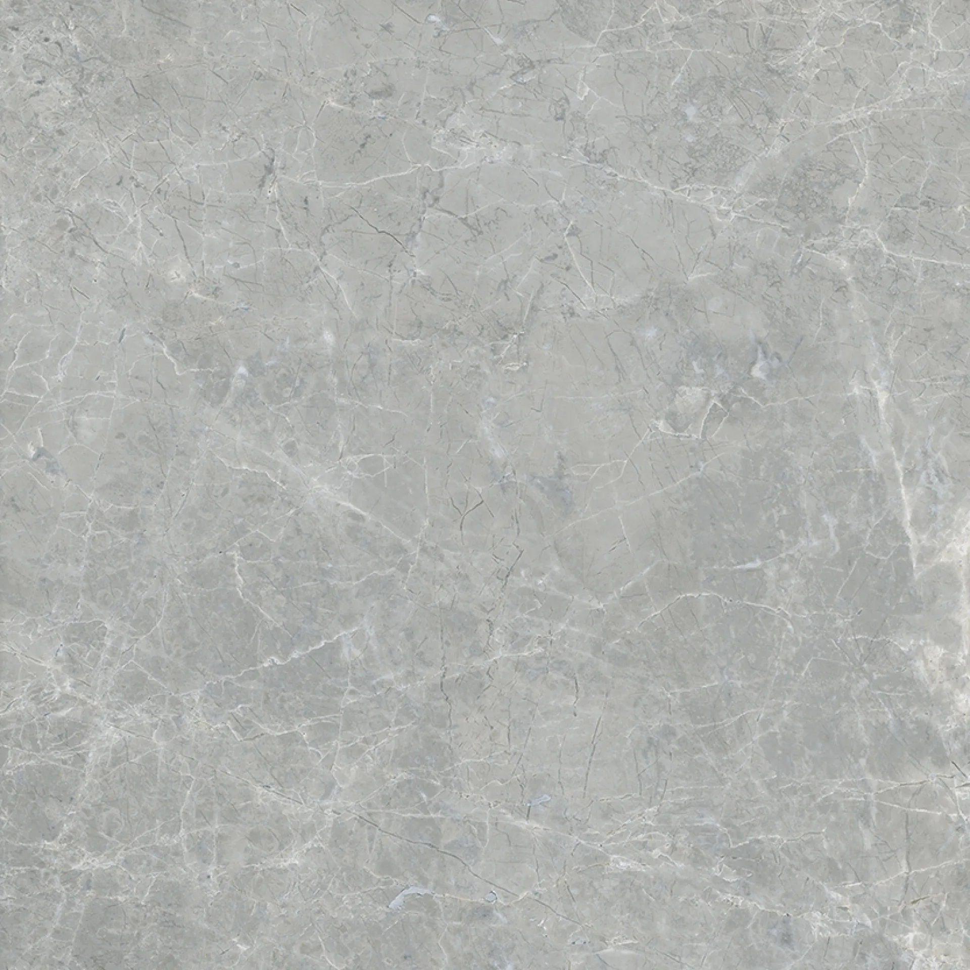 610010005763 Canova Grey Ret 60x60 ColiseumGres