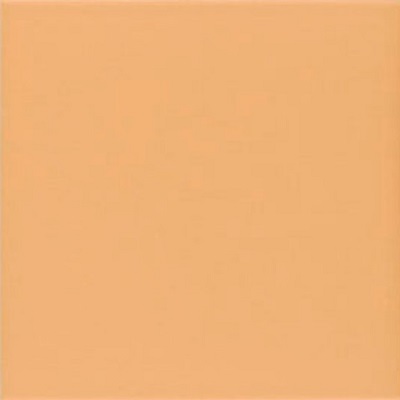 Technical Tangerine 20х20 Mainzu