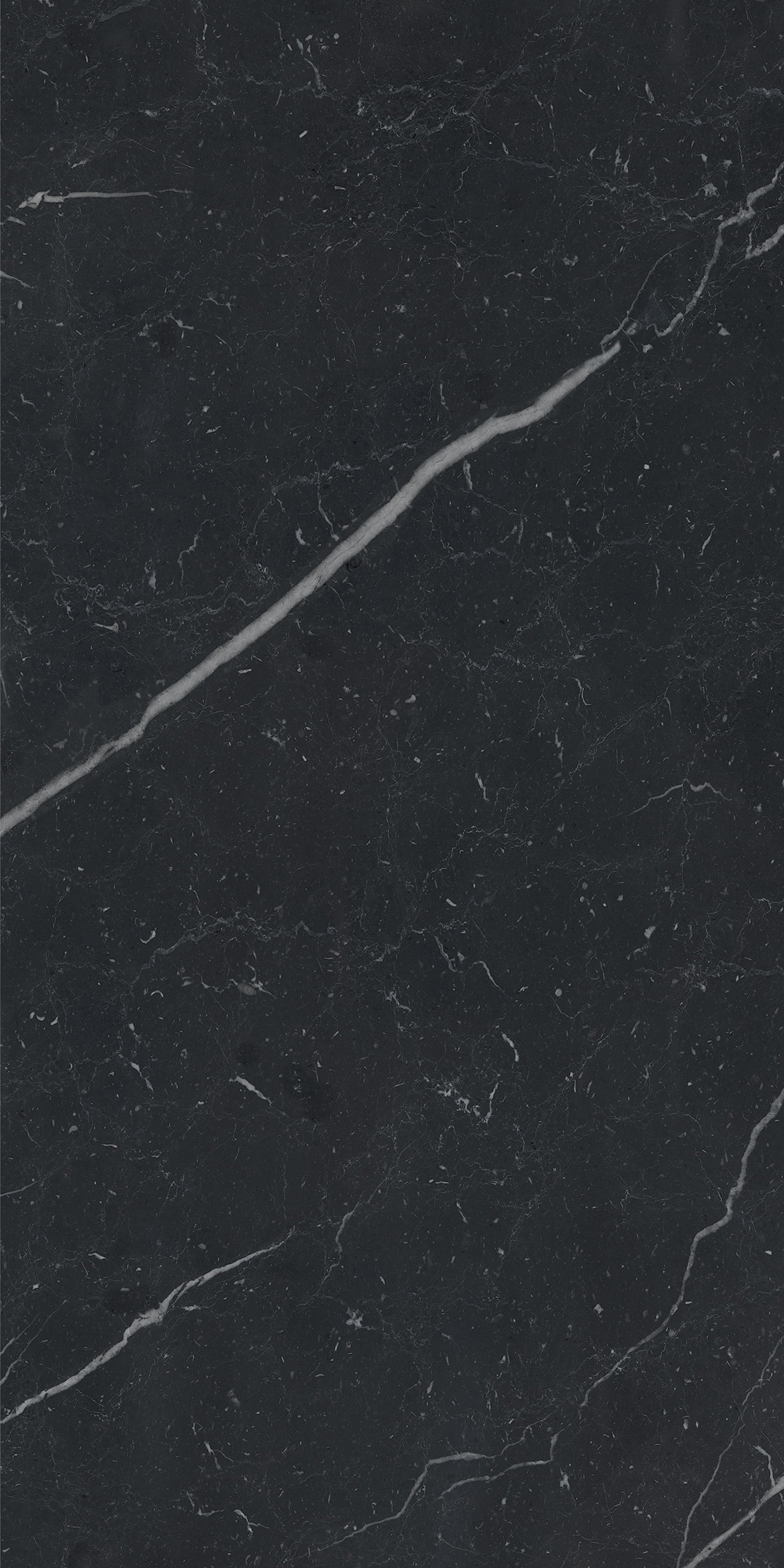 AGB7 Unique Black Luc 60x120 Caesar