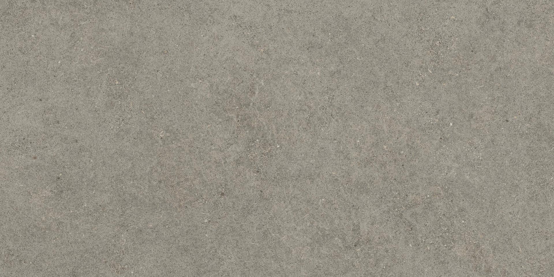 610010004124 Forte dei Marmi Rock Lunar Grey 20mm 60x120 Atlas Concorde Russia фото 3