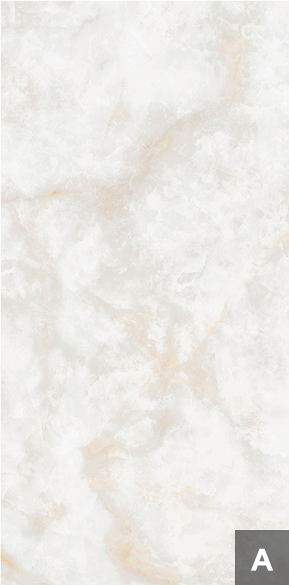 NTT3019P (A) Li Susu Dragon 120x240 NT Ceramic