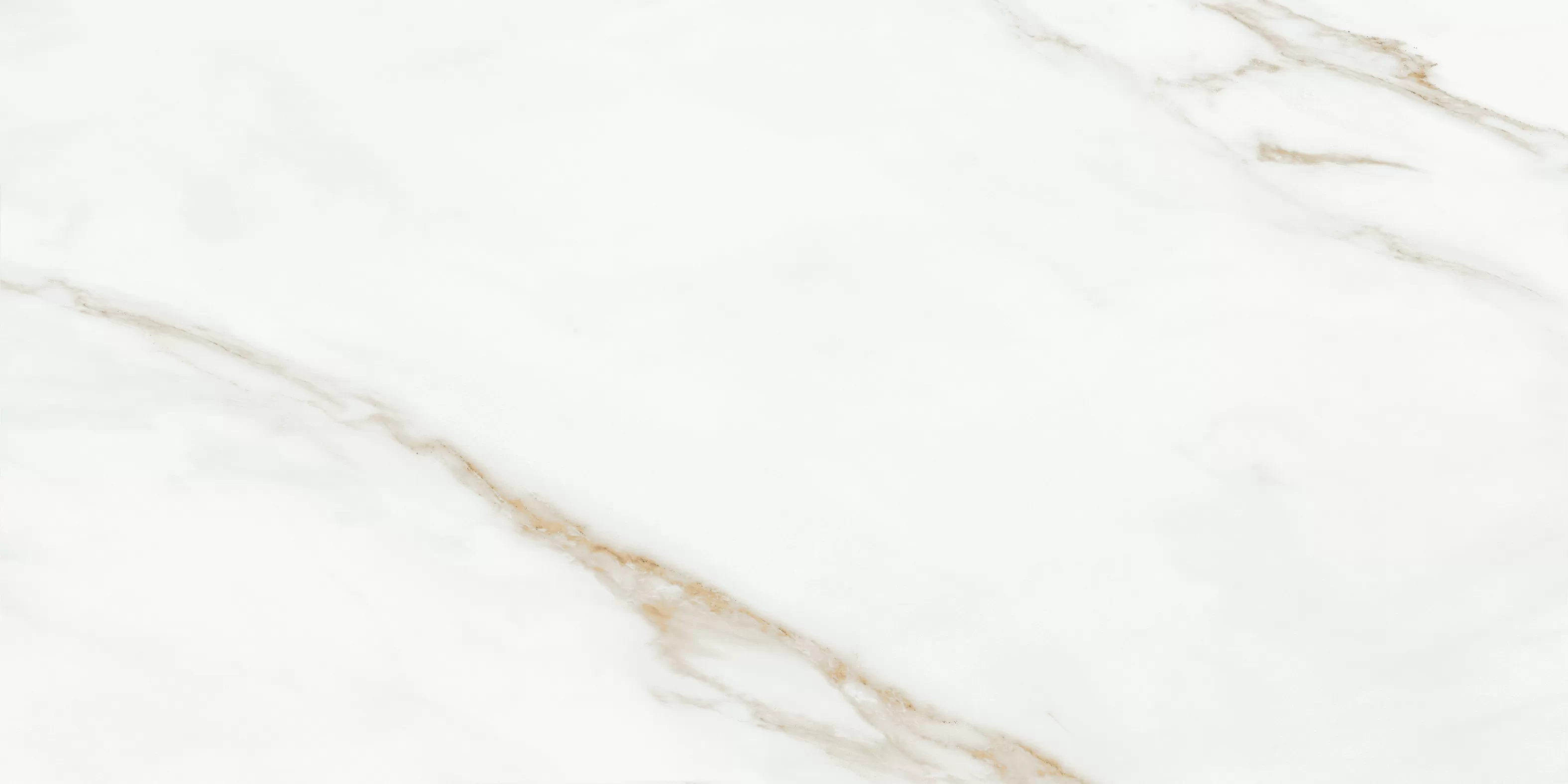 Oriental White 60x120 Bluezone фото 5