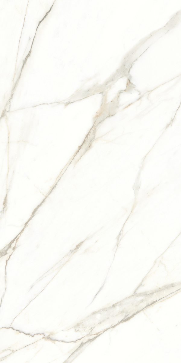 117782 Emotion Levigato Rettificato 60x120 Naxos