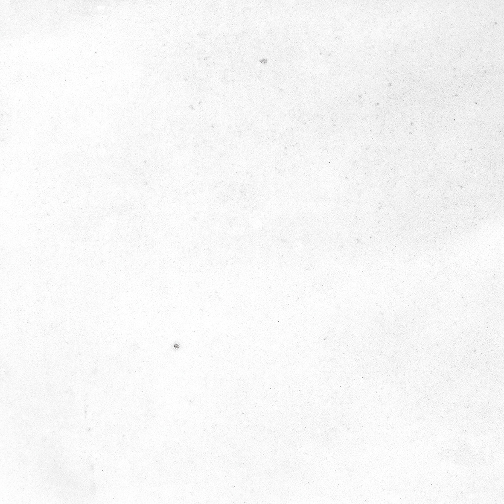 43294 Samira White 10x10 Harmony фото 14