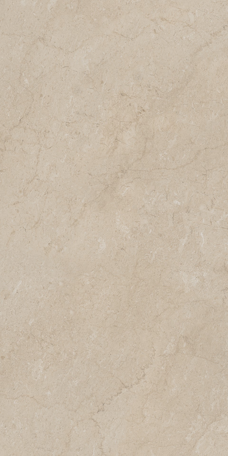 AEM01 Элемента Бежевый Неполированный Рект 60x120x9 Ametis by Estima фото 9