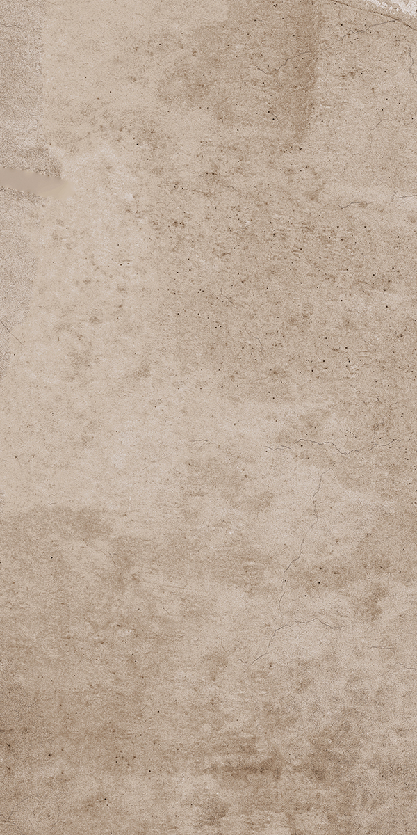 EE02 Seed Creamy Неполированный 30,6x60,9x8 Estima