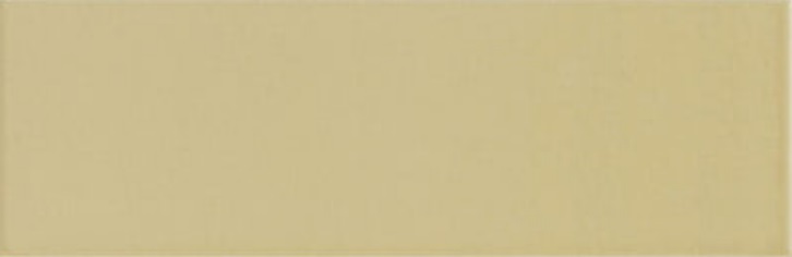 Jungle Sunset 10х30 Mainzu