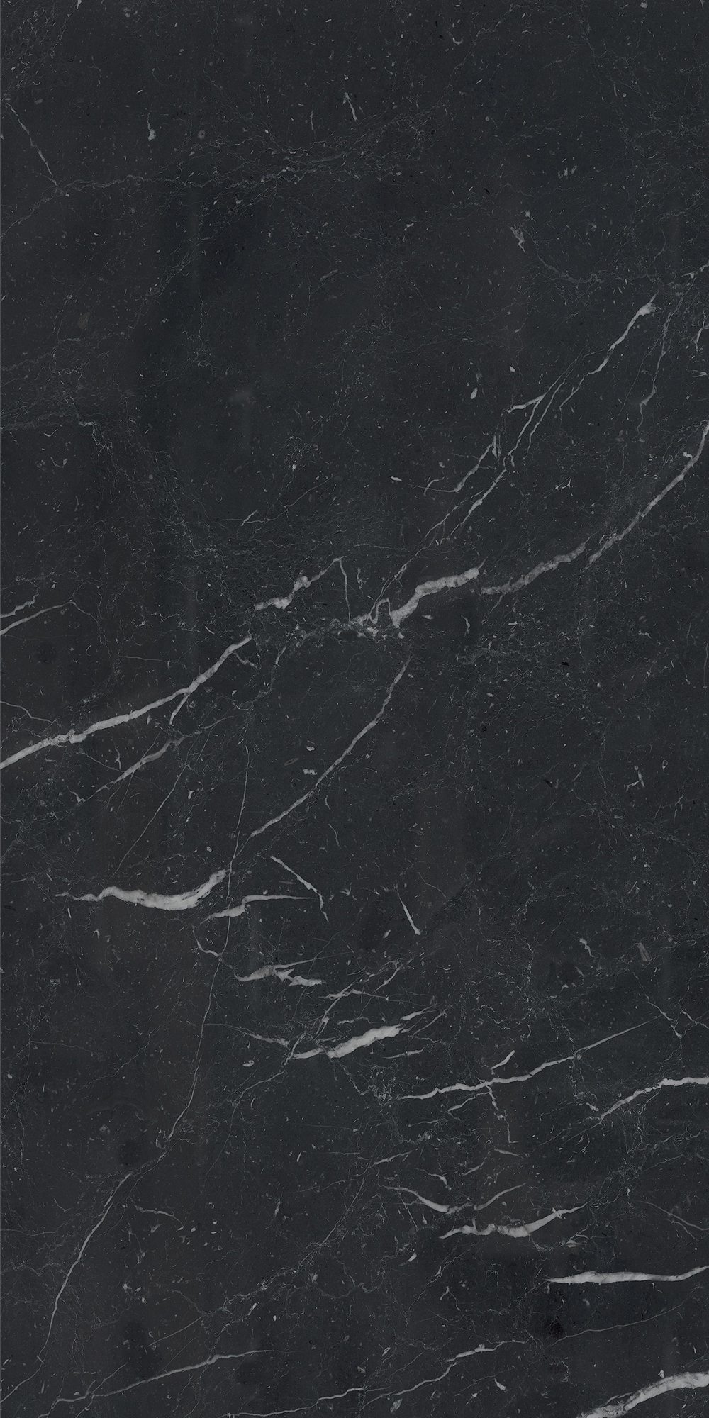 AGB7 Unique Black Luc 60x120 Caesar фото 5